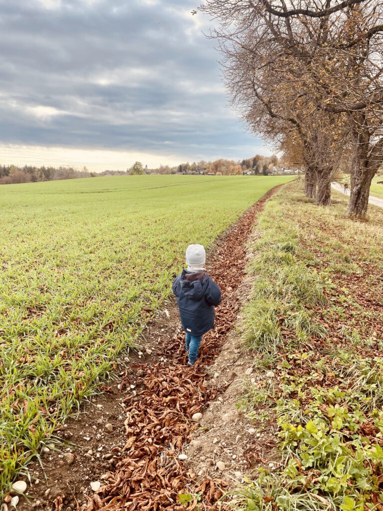Junge in Herbstlandschaft